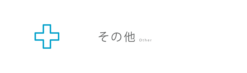その他